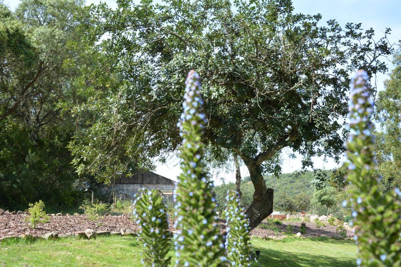 Quinta do Freixo Benafim Exterior foto